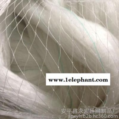 永宏 0.5-3公分30米*100米 果园防鸟网 防护网 葡萄园专用防护网 品质保证图3