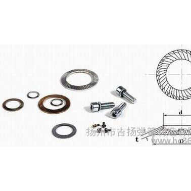 供应JYJY-003碟形防松垫圈、防松垫圈、防滑垫圈