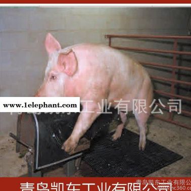 直销母猪产床垫 小猪保育垫 猪舍垫 猪栏垫 公猪采精防滑垫