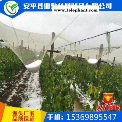 白色防雹网价格 **冰雹防护网 果园防雹网 葡萄冰雹防护网 防雹网厂家图8