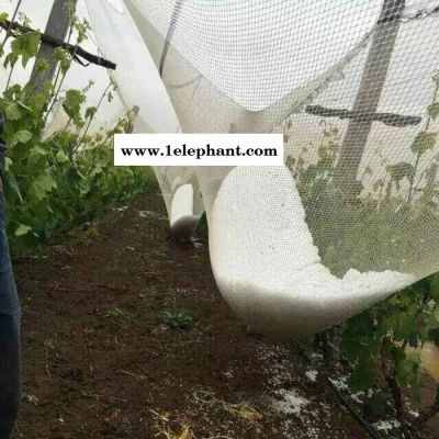 白色防雹网价格 **冰雹防护网 果园防雹网 葡萄冰雹防护网 防雹网厂家图6