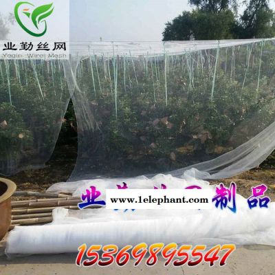 白色防雹网价格 **冰雹防护网 果园防雹网 葡萄冰雹防护网 防雹网厂家图7