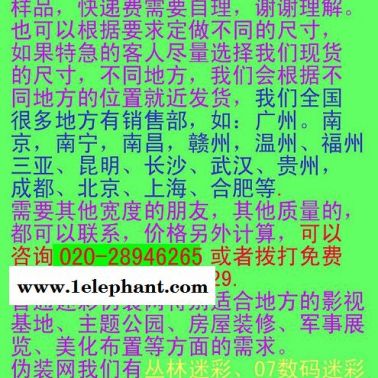 海洋伪装网、防晒伪装网、防太阳防阳光伪装网、绿化伪装网雄鹰战士伪装服