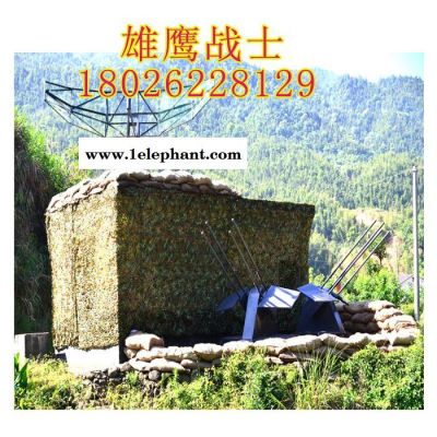 海洋伪装网、防晒伪装网、防太阳防阳光伪装网、绿化伪装网雄鹰战士伪装服图8