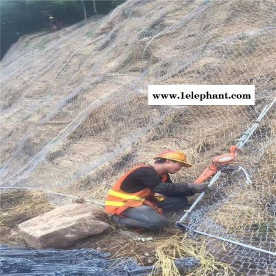 山体落石防护网 绿化护坡铁丝网 山体防护网 臣运丝网制造 质量保障 欢迎定制 施工价格 山体落石防护网 绿化护坡铁丝网 山体防护网 臣运丝网制造 质量保障 欢迎定制 施工价格