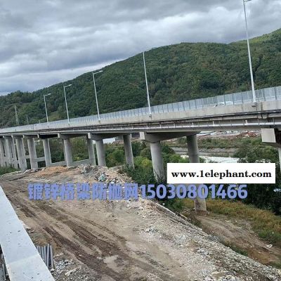 高速桥梁防抛网 高架桥防护网图5