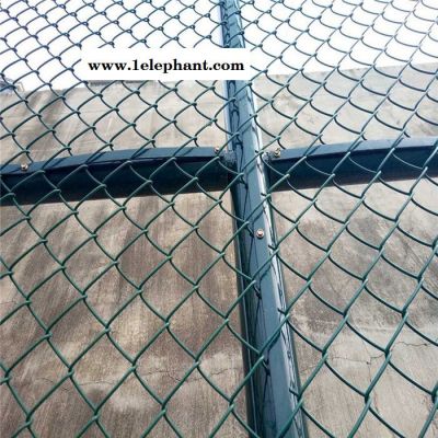 佳通绿色冰球防护网支持定做图2