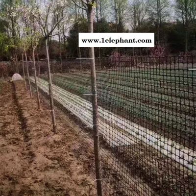 拓林 黑色防护网 厂房彩钢顶安全防护网 矿用井下防护网 路基加固塑料土工格栅网图7