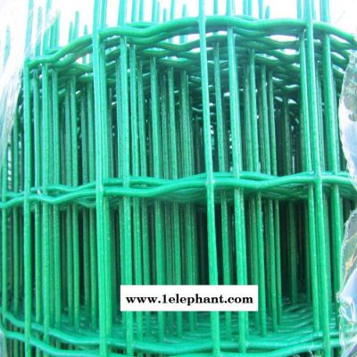 兰州果园防护网 2.5粗荷兰网 兔子饲养防护网图2