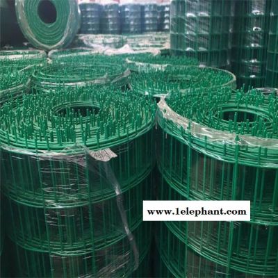 兰州果园防护网 2.5粗荷兰网 兔子饲养防护网图3