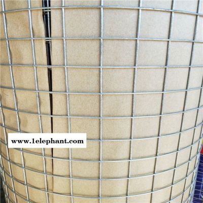 焊接网防护网 焊接防护网 辽宁电焊网 河北安平镀锌电焊网厂 电焊钢网图2