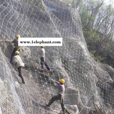 【利龙】边坡防护网山体泥石流预防主动边坡防护网现货销售生产厂家