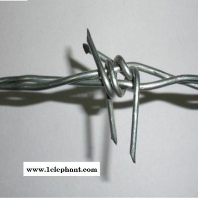 刺绳围网 刺绳防护网 河北刺绳图2