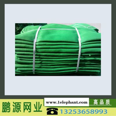 鹏源 **安全网 建筑防护网 密目网图2