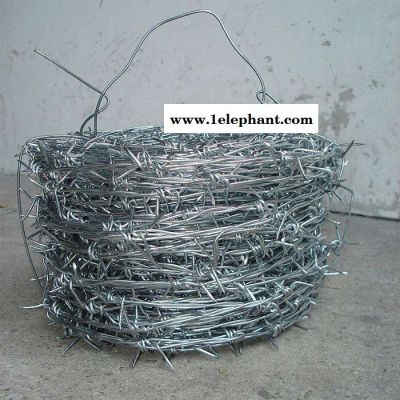 防盗刺绳 刺绳防护网 防护刺绳图2