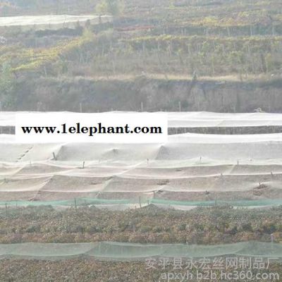 永宏 供应 防雹网 蔬菜防雹网 葡萄防雹网 植物防护网 防雹网厂家图3