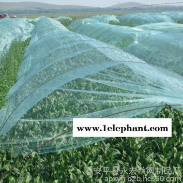 永宏  供应  防雹网   蔬菜防雹网  葡萄防雹网  植物防护网  防雹网厂家