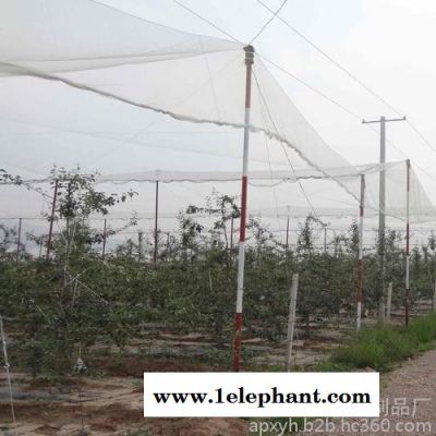 永宏 供应 防雹网 蔬菜防雹网 葡萄防雹网 植物防护网 防雹网厂家图2