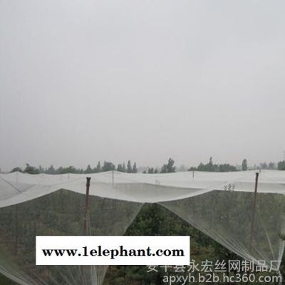 永宏  供应  防雹网   蔬菜防雹网  葡萄防雹网  植物防护网  防雹网厂家图4