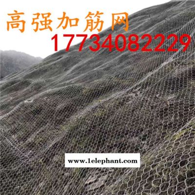 热镀锌高强加筋网厂家加钢丝绳绞丝网  柔性边坡防护网图1