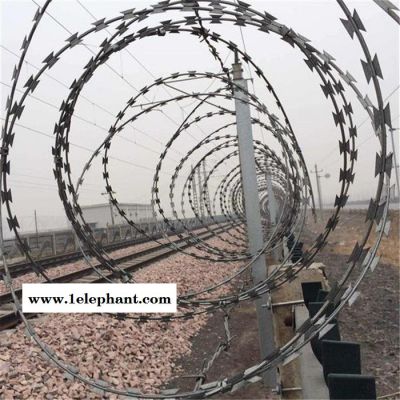 刺绳滚笼网 刺绳防护网 包塑刺绳图2