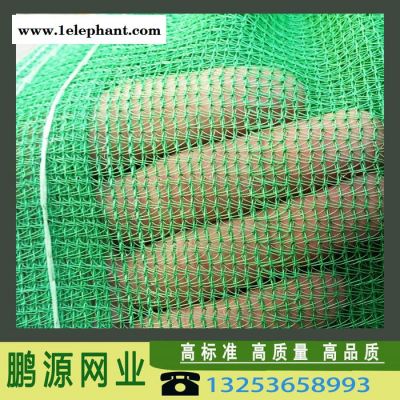鹏源 安全网 阻燃网 密目网 防护网批发图3