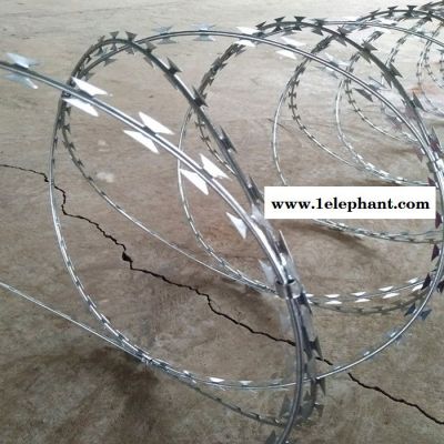 监狱防护刺绳 防护刀片刺绳 滚笼防护网图3