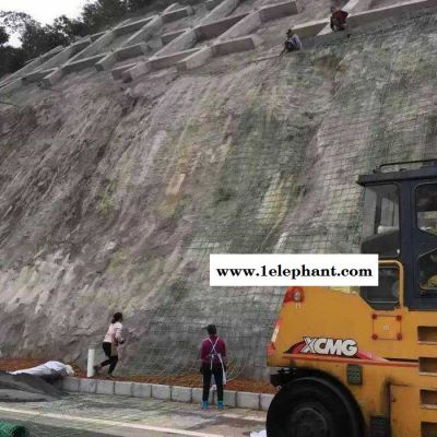 拓林 绿色钢塑边坡防护网 山林防护绿化边坡网 福建植物攀爬绿化网图2