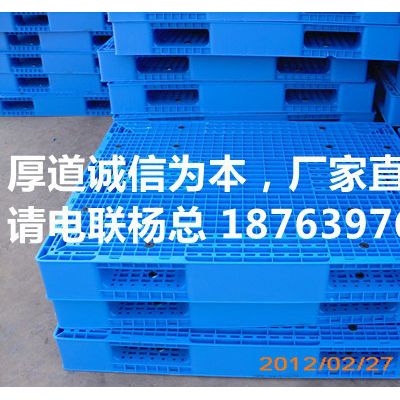 临沂市双龙塑料有限公司供应河北新款内置防滑垫双面塑料托盘1311图6