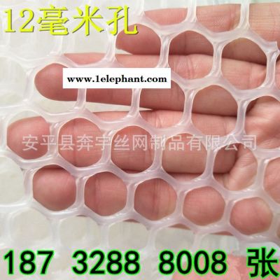 奔宇 厂家供应 PP塑料网 PE塑料网 塑料防护网 塑料格垫网规格齐全图8