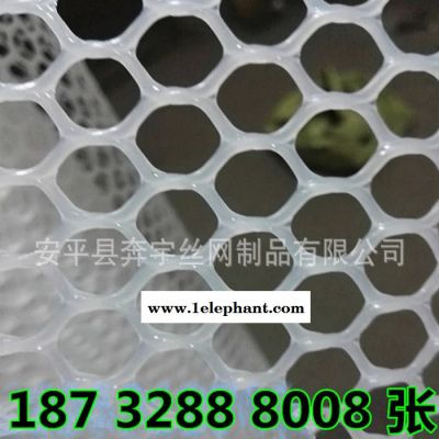 奔宇 厂家供应 PP塑料网 PE塑料网 塑料防护网 塑料格垫网规格齐全图4