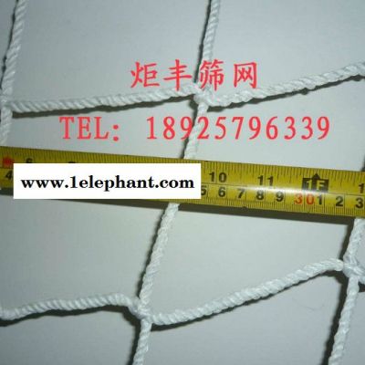货柜防护网/集装箱货柜网/尼龙绳网/防护防坠网/安全网2.5M*2.8M图2