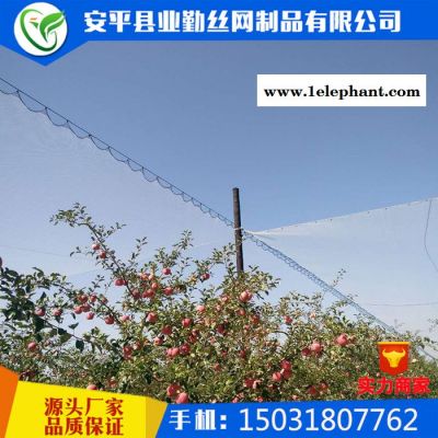 【防雹网厂家**果园防雹网果树冰雹防护网全新料抗老化防雹网图6