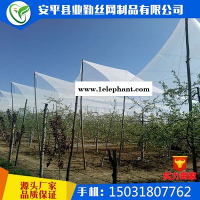 【防雹网厂家**果园防雹网果树冰雹防护网全新料抗老化防雹网图7