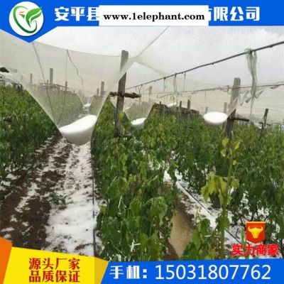 【防雹网厂家**果园防雹网果树冰雹防护网全新料抗老化防雹网图3