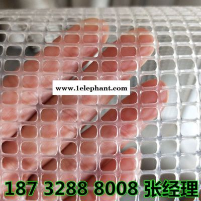 供应 小孔白色 菱形孔 圆孔 塑料网 过滤防护网 滤芯塑料过滤网图4