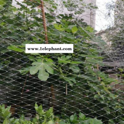 龚祥   防鸟网  果园防鸟网 果园防护网图3