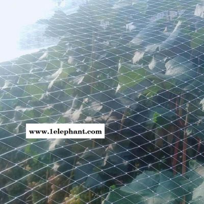 龚祥   防鸟网  果园防鸟网 果园防护网图2