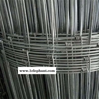 【豪亮】 常年供应 新型防护网 牧区草原防护网 牧场防护网 牛栏网报价图2