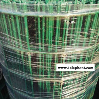 【龚祥】 供应生产  荷兰网  浸塑荷兰网  防护网  养殖围栏网  荷兰网厂家图4