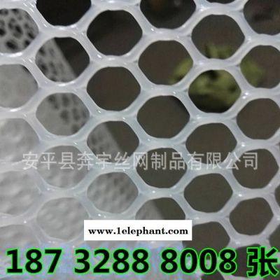 奔宇  厂家供应 白色pe pp塑胶养殖网 塑胶防护网 规格齐全 可定制图2