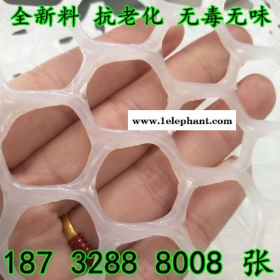 奔宇  厂家供应 白色pe pp塑胶养殖网 塑胶防护网 规格齐全 可定制图4