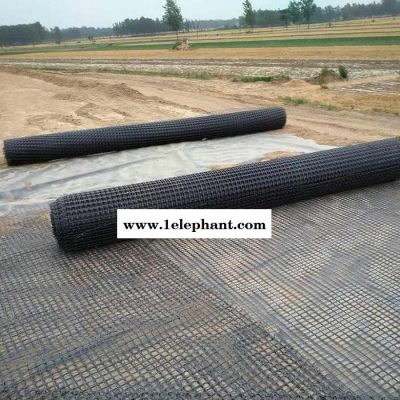 拓林 黑色塑料网格 路基加固双抗网 hdpp围栏防护网图5