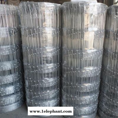 豪亮 草原网 草原防护网 草原用网 防护网图片图6