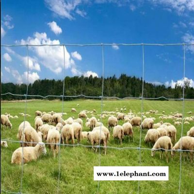 豪亮 草原网 草原防护网 草原用网 防护网图片图4