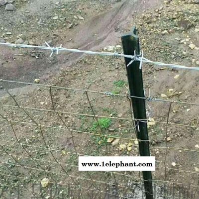 豪亮 草原网 草原防护网 草原用网 防护网图片图3