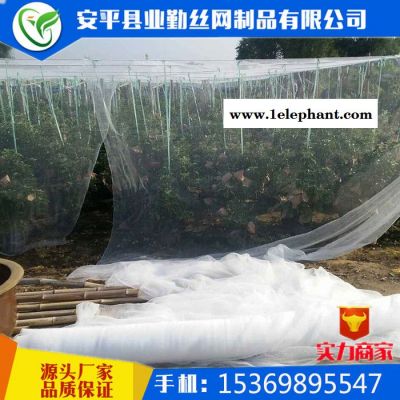 【业勤】防雹网厂家**防雹网果园防雹网果树冰雹防护网聚乙烯防冰雹网图7