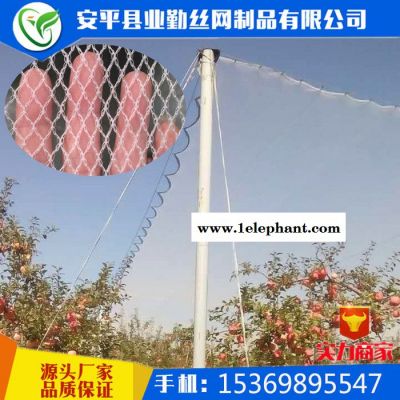 【业勤】防雹网厂家**防雹网果园防雹网果树冰雹防护网聚乙烯防冰雹网图4