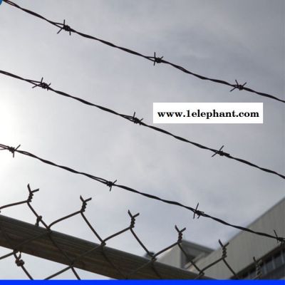 彦峰 热卖  刺丝刺绳 刺绳防护网 单股刺绳 刺绳厂家 工厂直营图1