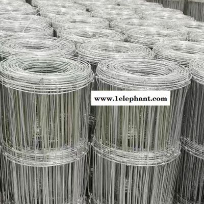 【豪亮】 大量现货 围栏网 家用养殖网 牧场防护网 防护网图片图2